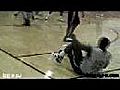 OJ Mayo Series==OJ Mayo &amp; Bill walker No.2