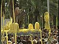 Procesión de las palmas en Elche