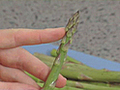 Choosing and Preparing Asparagus