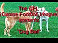 CFL Dogball (soccer)