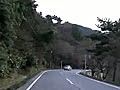 桜満開の海津大崎 13