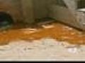 LI Beachfront Residents Furious Over Filthy Water