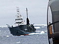 Whale Wars: Whalers Go on Offense