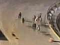 WWOS RAW: Greyhound’s hare-raising detour