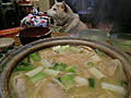 味噌煮込みうどん