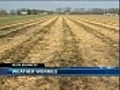 Warm weather concerns New England farmers