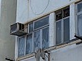業主失蹤26年　租客透過「逆權侵佔」成為業主