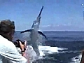 Swordfish Fail