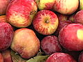 Organic A to Z: A is for Apple