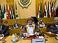 Arabische Liga fordert Flugverbotszone über Libyen
