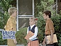 The Brady Bunch - Fistful Of Reasons