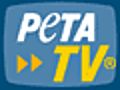 Joanna Krupa,  bekend van Dancing With the Stars, is een &#039;Engel voor dieren&#039; in haar sexy PETA Nederland-advertentie