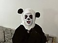 Panda is Piaf