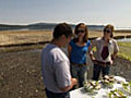 Oyster Taste Test