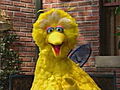 Big Bird Rhymes Beep