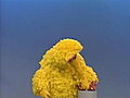 Big Bird Talks About Listening