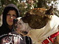 Pit Bulls and Parolees: Tia Teaches Tania