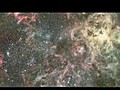 Hubblecast 44  Hubble spies on the Tarantula Nebula ESA Hubble.avi