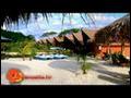 Vanuatu : Sunset Bungalows