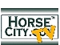 Horse City TV show 120206