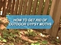 How To Get Rid Of Outdoor Gypsy Moths