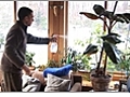 How to Mist Your Houseplants