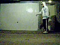 D2STIN VIDEOBEST 2007