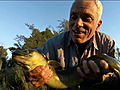 River Monsters: Catching the Flesh Ripper
