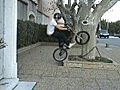 leo zenner bmx (part 1)