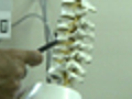 Latest Treatments for Osteoporosis