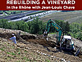 Rebuilding a Vineyard in the Rhone