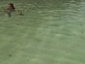 Woman relaxing while swimming in the yellow sea