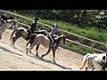 Equitation - Brindas - Rhône