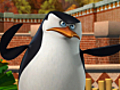 Penguins: 
