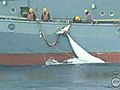 Govt welcomes end of Japan’s whale hunt