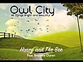 Owl City Honey And The Bee