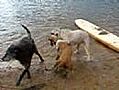 Plezant in het water