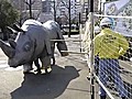 Weird Japanese Zoo Drill