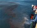 Will the Gulf Oil Spill Create Dead Zones?