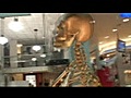 calaca 3d se pasea por plaza americas xalapa y entra a filomedios