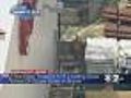 Two Deer Trapped Back Lot At Bronx Target Store