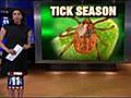 Ticks on The Rise at Local State Park