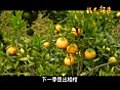 錢進部落 第40級 02