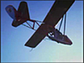 210708 Vatulino 0026 Berkut igbes The short flight