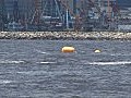 直升機機件故障急降維港　機上13人全部獲救