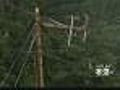 Northern Suburbs Take A Beating From Storm