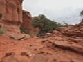 Hiker on Path - Arches National Park