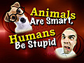 Animals Are Smarter Than Humans?