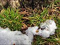 HDR Time lapse of Snowmelt