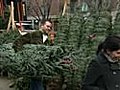 Christmas Trees Available Online